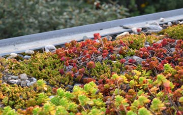 the cost of Costa green roof installation