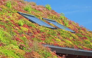 Costa living roof systems