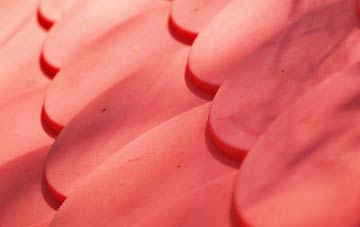 Costa plastic roof costs