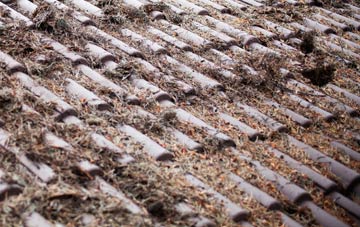 Costa roof cleaning companies