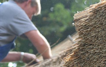 professional Costa thatchers