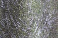 Costa fibreglass roof work